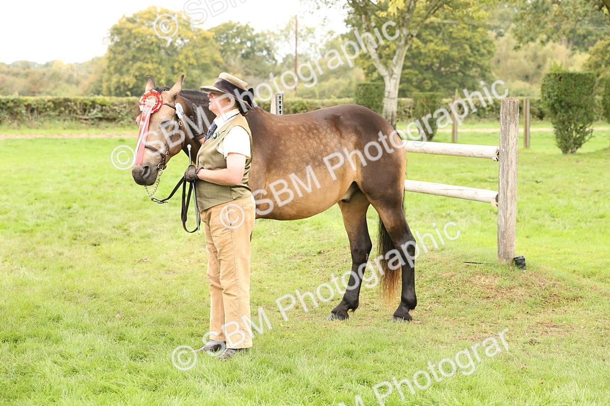 SBM_60879 - In Hand Horse Supreme Championship