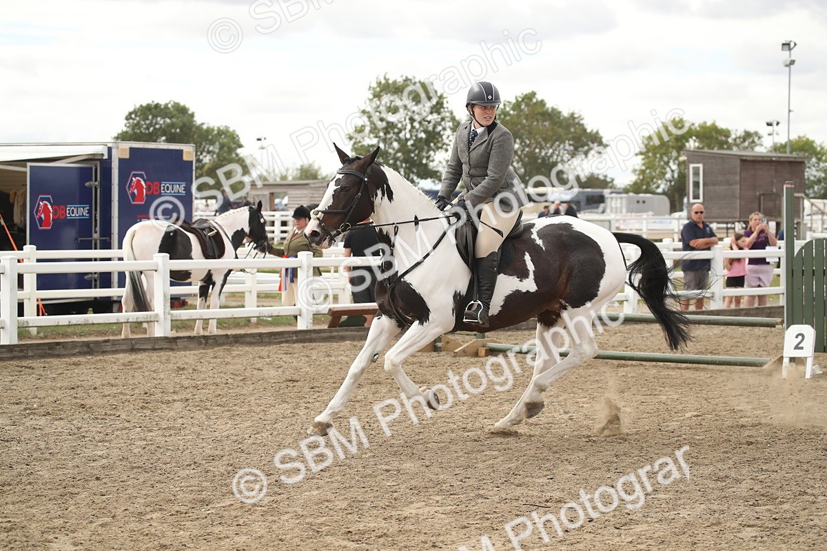 SBM_16623 - Class 507a - Working Veteran - 60cm (15-19)