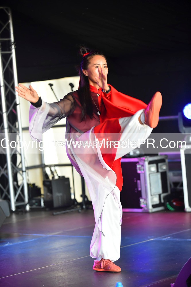 SH4_1472 - Tai Chi with Lisa Kay.
