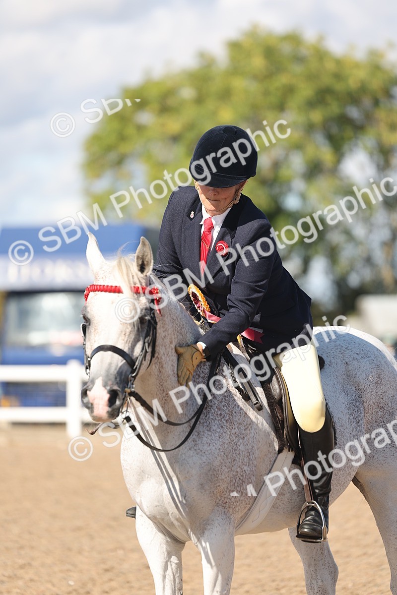 SBM_13131 - Class 305 - Ridden Foreign Breed Pure Bred