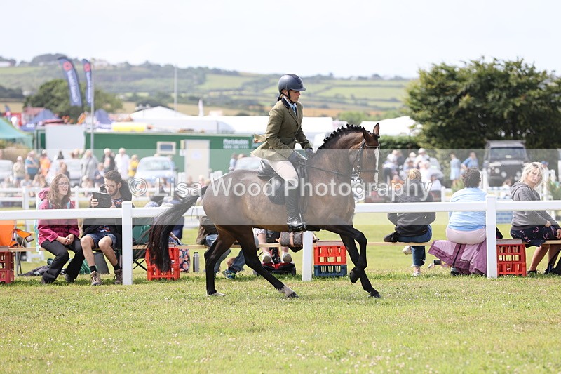 JPP_1521 - Class 17: Cornish Combination Open