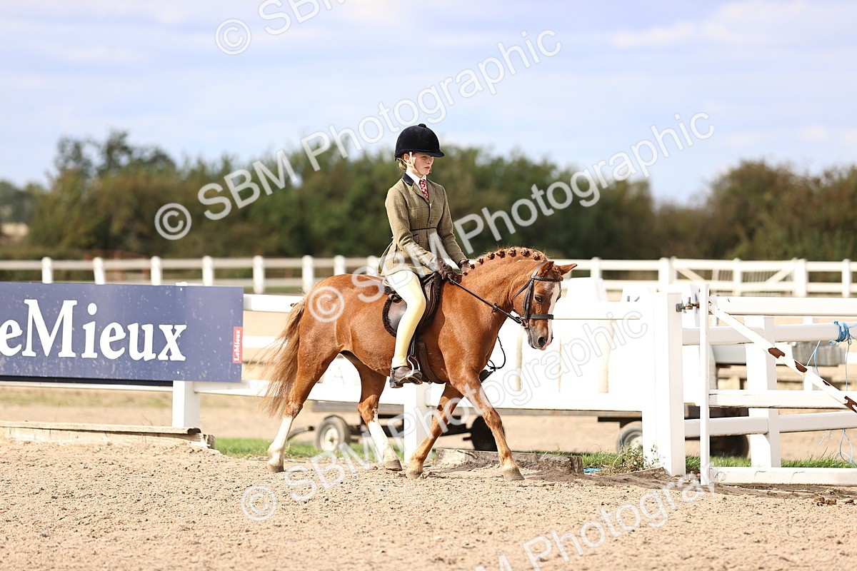 SBM_18011 - Class 422 - Equitation (Best Rider) Jnr