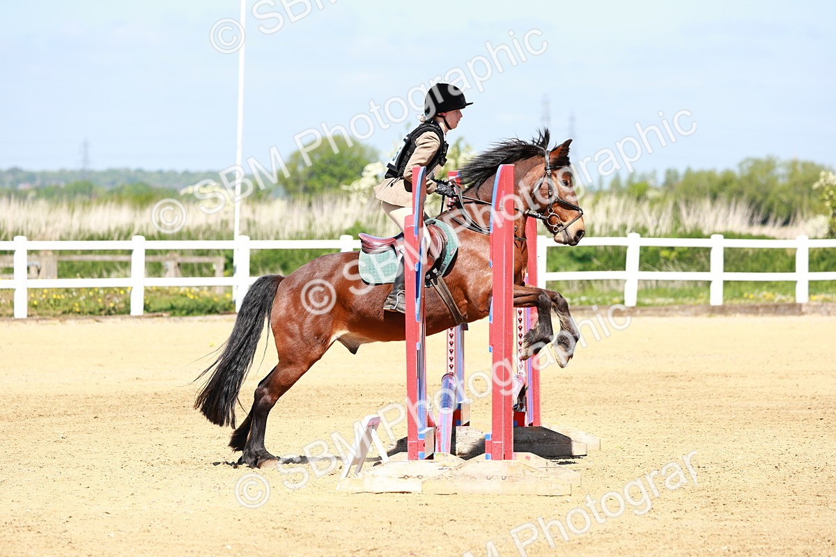 SBM_007096 - Class 3 - 60cm