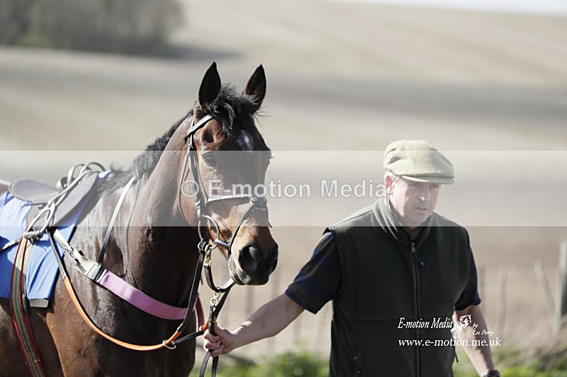 PtP 100423 809 - Old Berkshire Point-to-Point Lockinge 10/04/23
