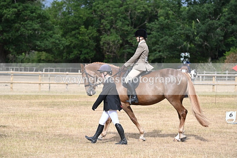 WJ6_7485 - Class 9 Tack and Turnout