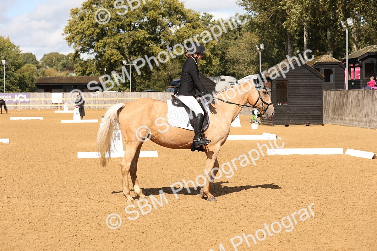 SBM_47410 - D12 - Small Tour Championship prelim 2