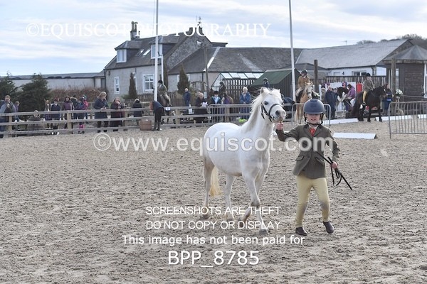 BPP_8785 - RING 2 - M&M