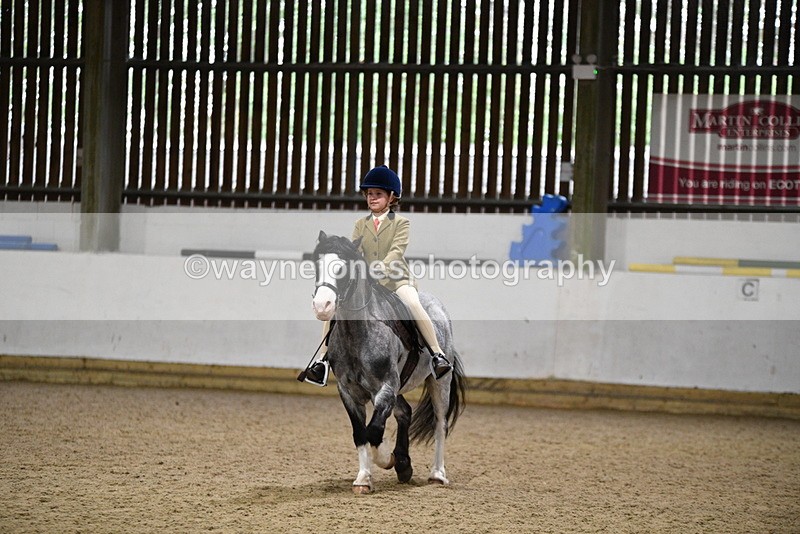 WJ5_8150 - Class 14 Novice Ridden/Rider