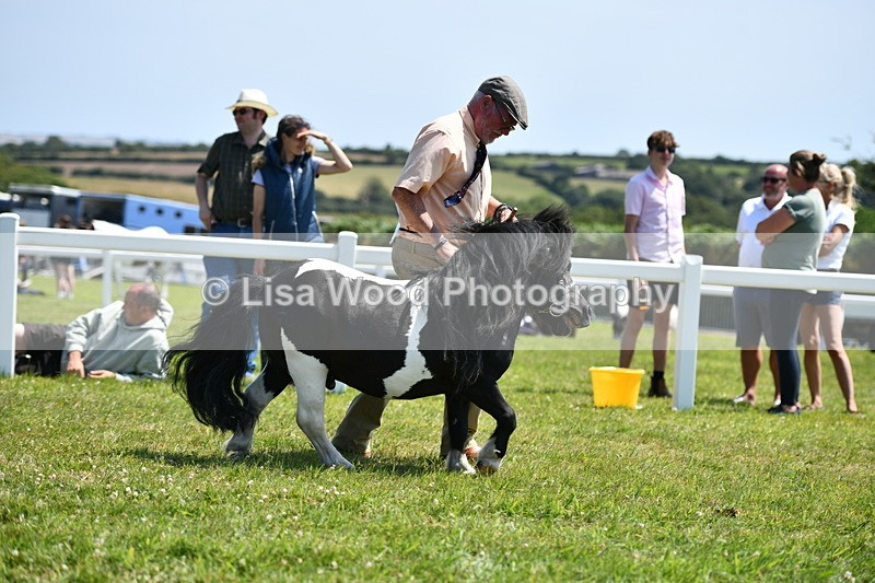 DSC_7603 - Class 64: Coloured Pony 4yrs & over