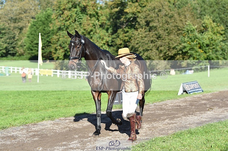 231022-111020-23776 - 465-LANGALLER.ALPHA.BRAVO-Cheryl.Beer-TrotUp+SJ