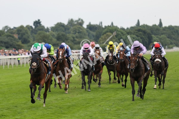 yr20082021r5-15 - Race 5 4.10pm British Stallion Studs EBF Convivial Maiden Stakes (Plus 10 Race)