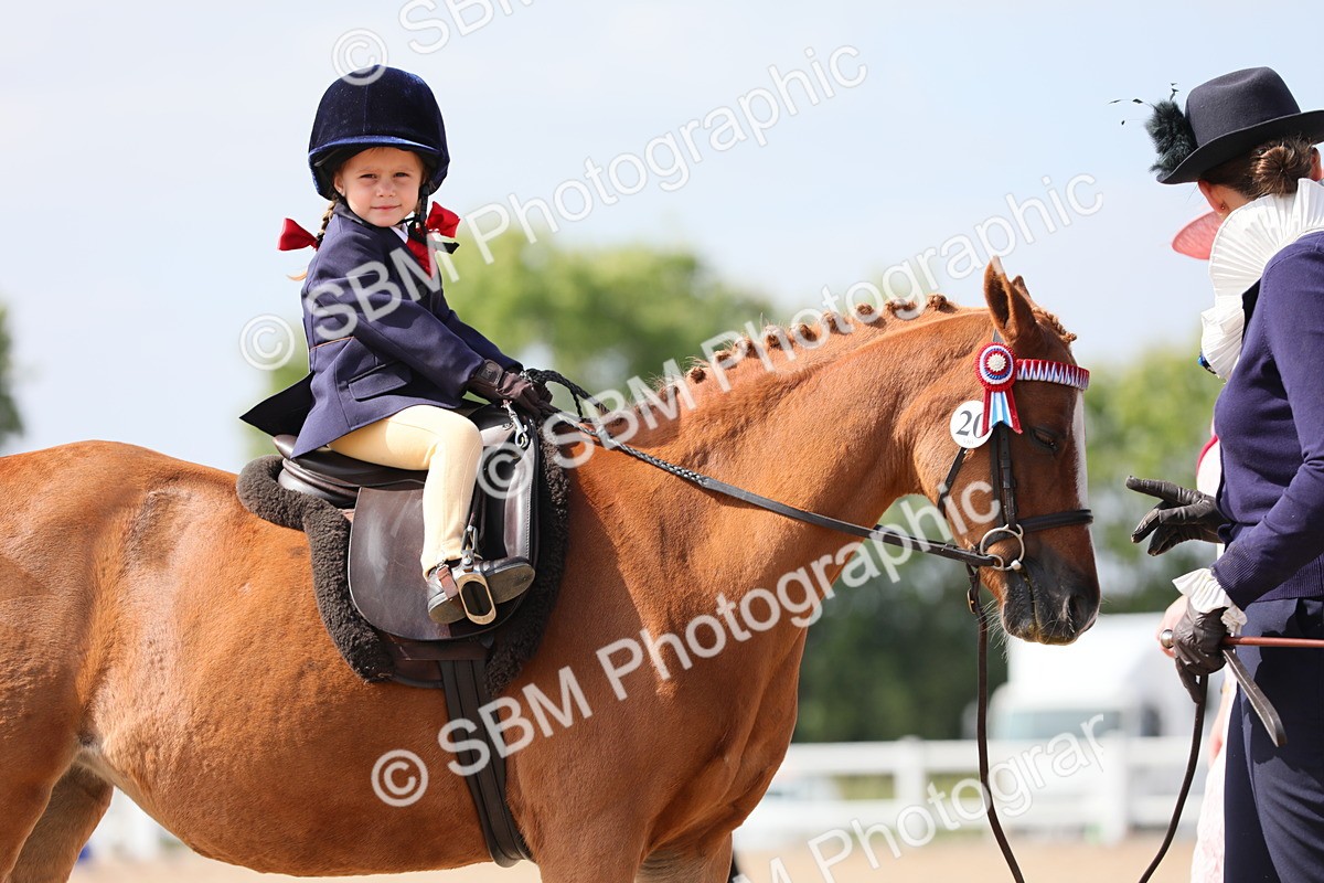 SBM_13996 - Class 309 Lead Rein Pony