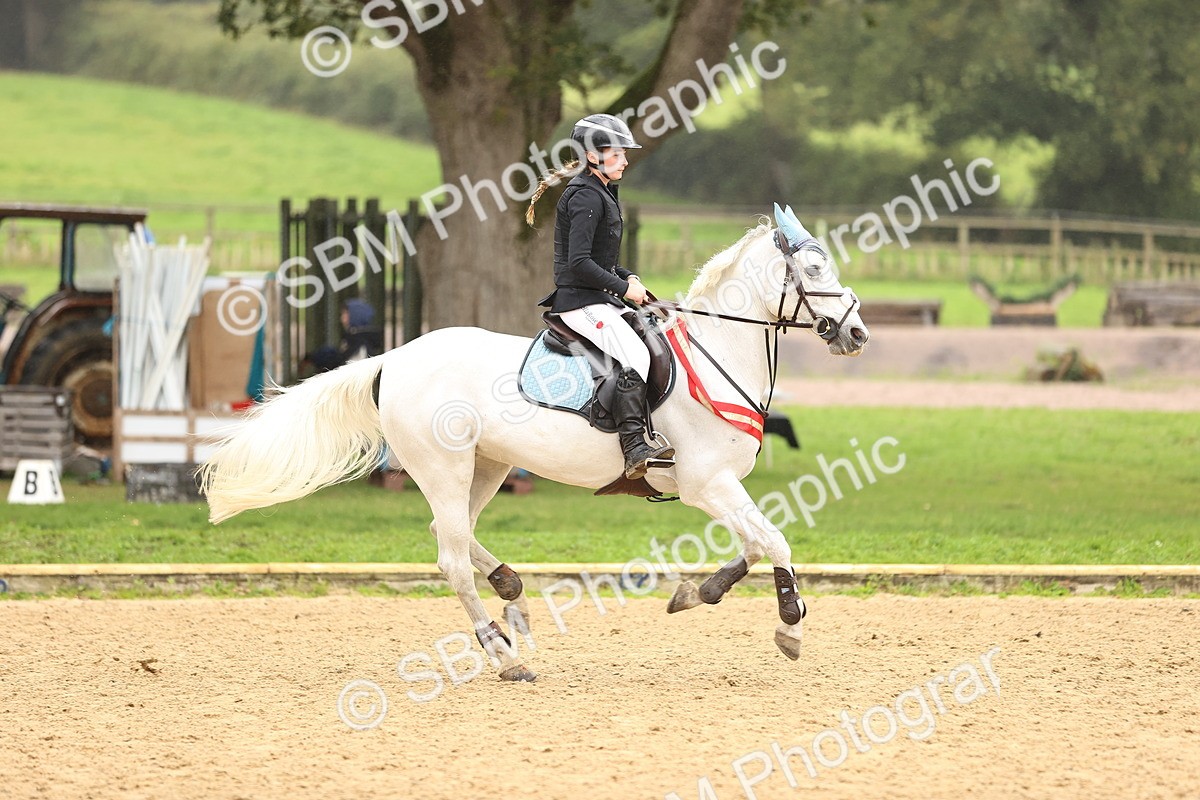 SBM_70105 - Supreme Championship 80cm 85cm