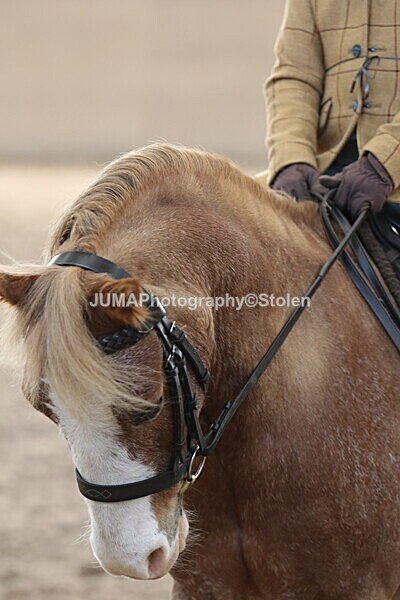 SIAL0874 - Indoor Classes