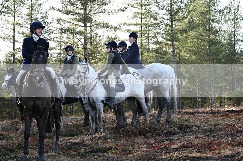 WJ7_7491 - Line 3 (no line 4 or 5)