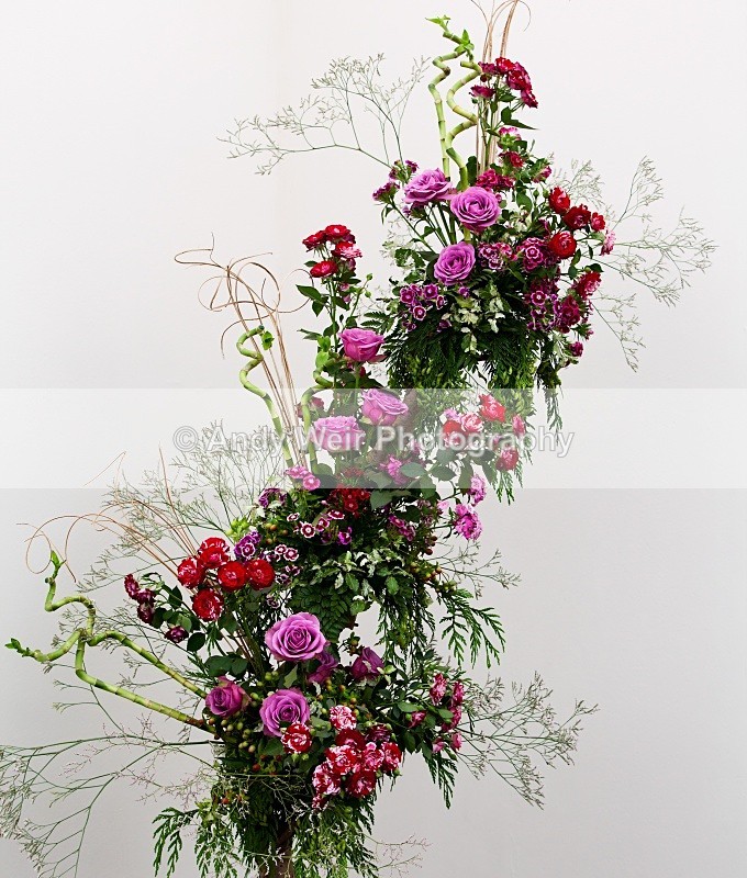 20100723_1753 - Miscellaneous Photographs