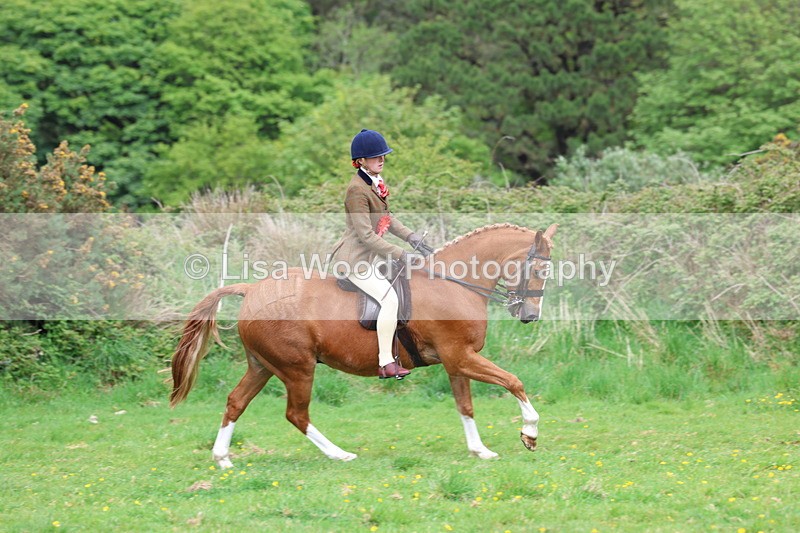 3E7A2249 - Ridden Championship