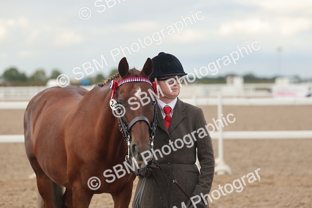 SBM_08524 - Class 29 - IH Veteran Pony