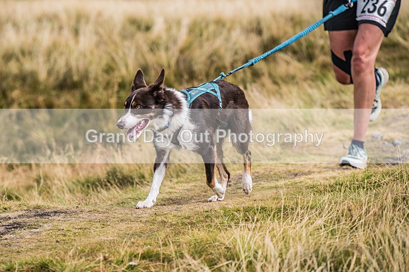 Lowther-735 - Lowther Lakeland Fell & Trail Race Sunday 9th August 2026