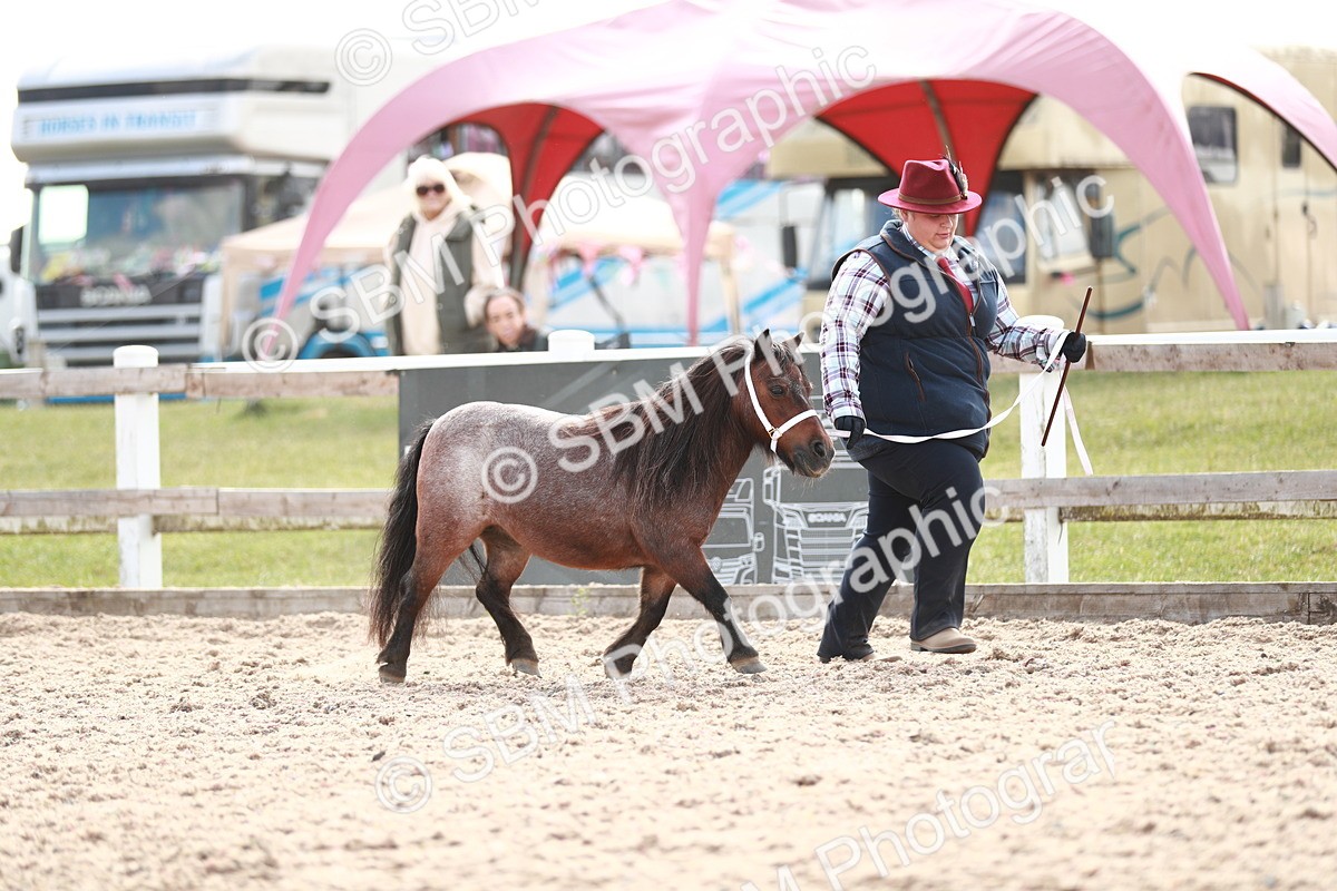 SBM_13888 - Class 209 IH Veteran Pony