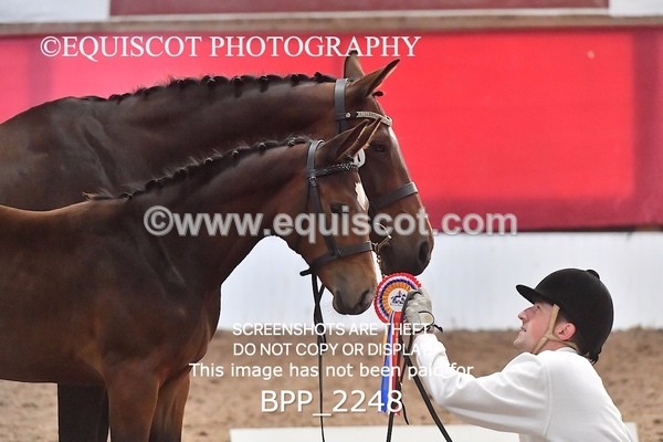 BPP_2248 - AFTERNOON 12.30 - 3.30PM