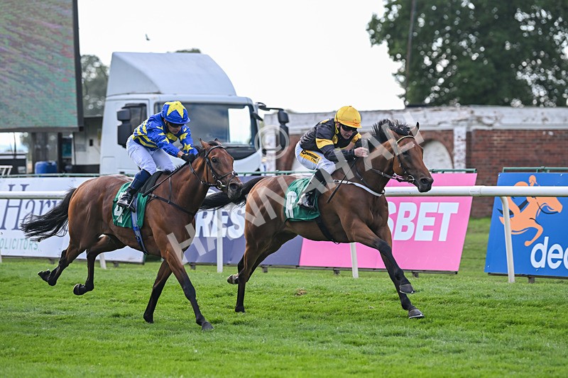 020825-Race 6-Big Leader-3482