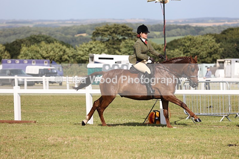 JPP_2939 - Class 20: Working Hunter 70cm