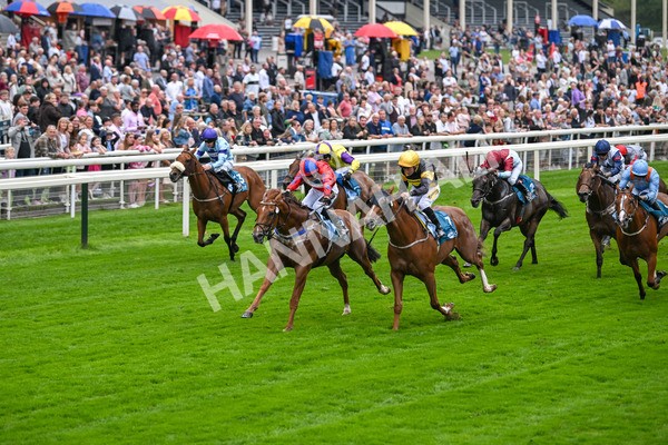 080925-Race 2-Alzahir-7412 - Race 2 3.00pm Sky Bet Super Sub Sprint Handicap