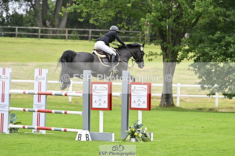 250613A-124610-01906 - Cls 3 Snr Foxhunter