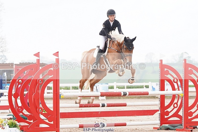 250425-090020-08277 - Cls 26 Young Horse 5yr old