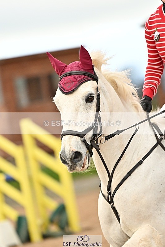 241215-133202-01065 - 90cm