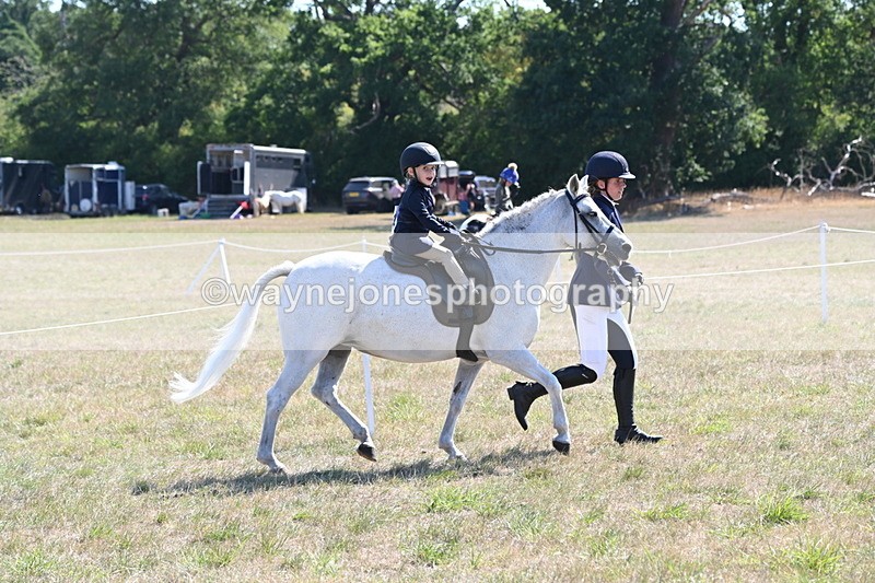 WJ6_7774 - Class 36 Lead Rein