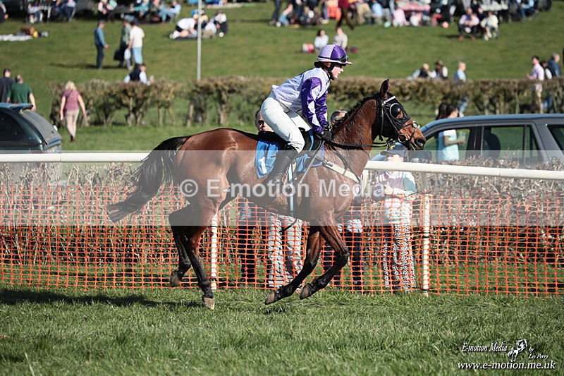 PtP 210326 636 - VWH Cirencester Races 21/03/26