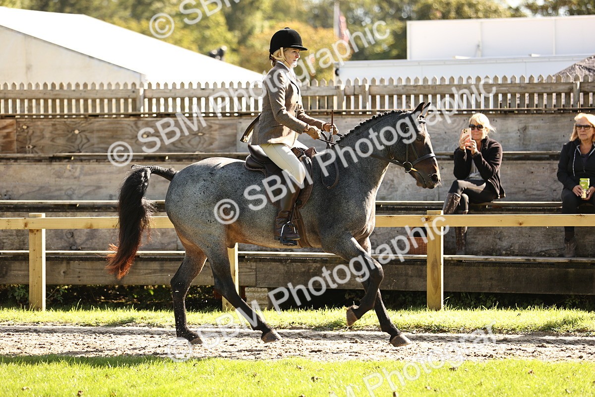 SBM_16977 - S2 - TSR Ridden Pony Showing