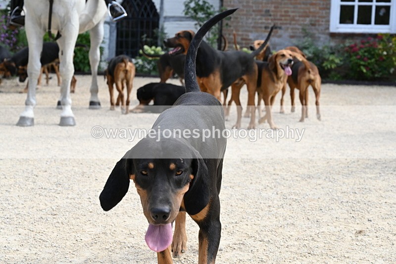 WJ6_3900 - Berks & Bucks - The Old farmhouse - Hound Exercise 20-08-25
