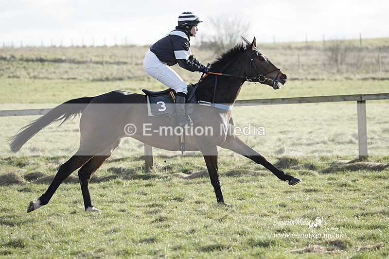 PtP 260223 1141 - South & West Wilts Point-to-Point Larkhill 26/02/23