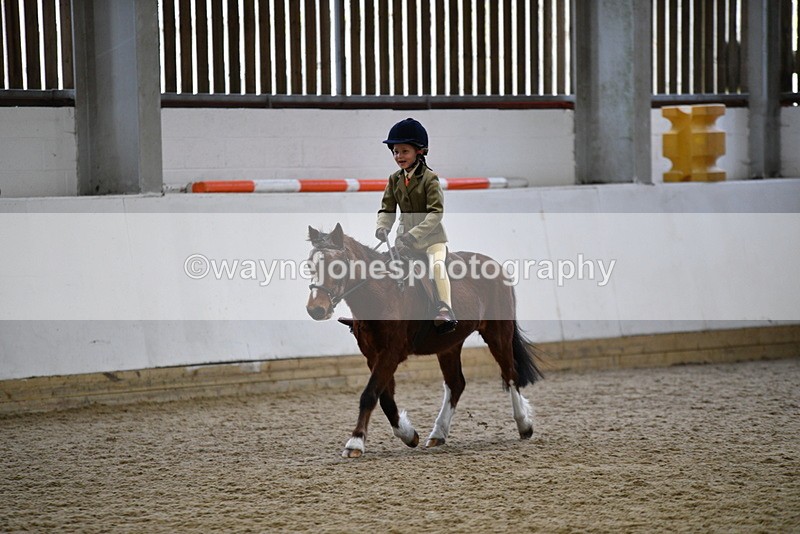 WJ5_7005 - Class 10 Childs Pony