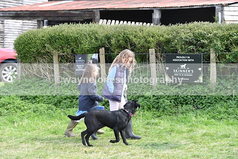 WJ5_0739 - Best in Show Championship