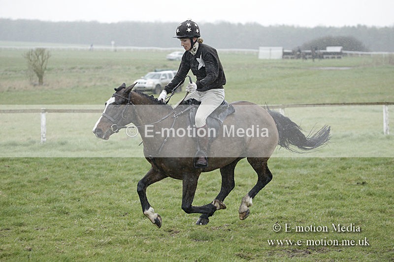PtP 150320 0060 - New Forest Point-to-Point Larkhill 15/03/20