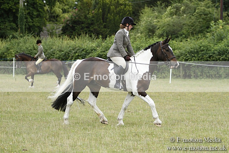 BVR160717-156 - Ring 3 BVRC Show 16/07/17