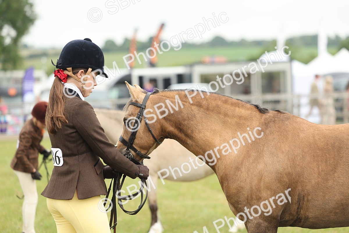 SBM_07118 - Class 76-77 - Ridden M&M Welsh Ponies