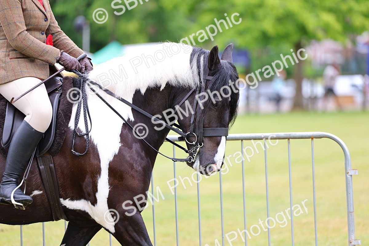 SBM_02589 - Class 9-11 Side Saddle including LIHS Rising Star Ladies Show Horse
