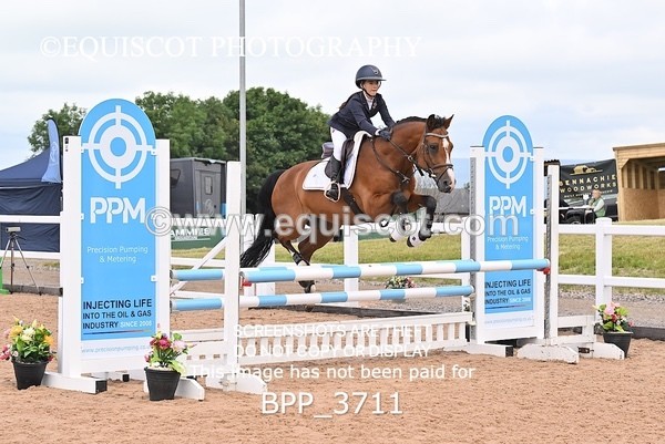 BPP_3711 - CLASS 1 WED Nupafeeds Senior Dicovery/1m open
