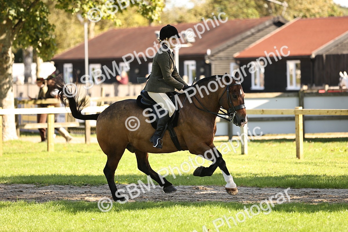 SBM_19123 - S3 - TSR Ridden Pony Showing