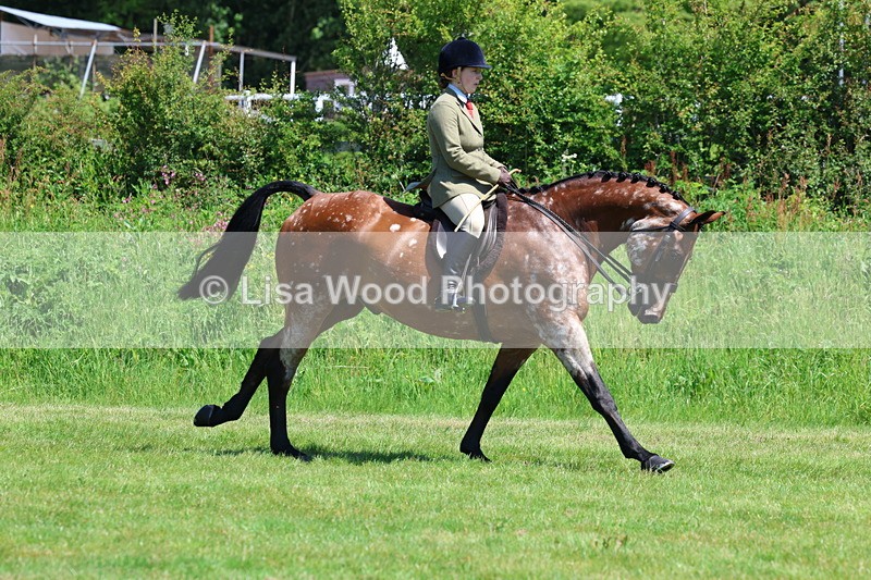 3E7A8251 - Class 13: Ridden Hunter