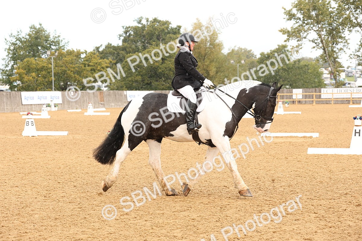SBM_40603 - D6 - Small Tour Championship Intro 4