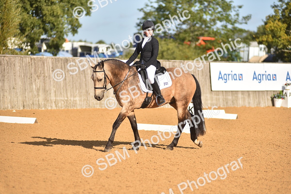 SBM_15773 - D4 - Small Tour Championship Intro 4