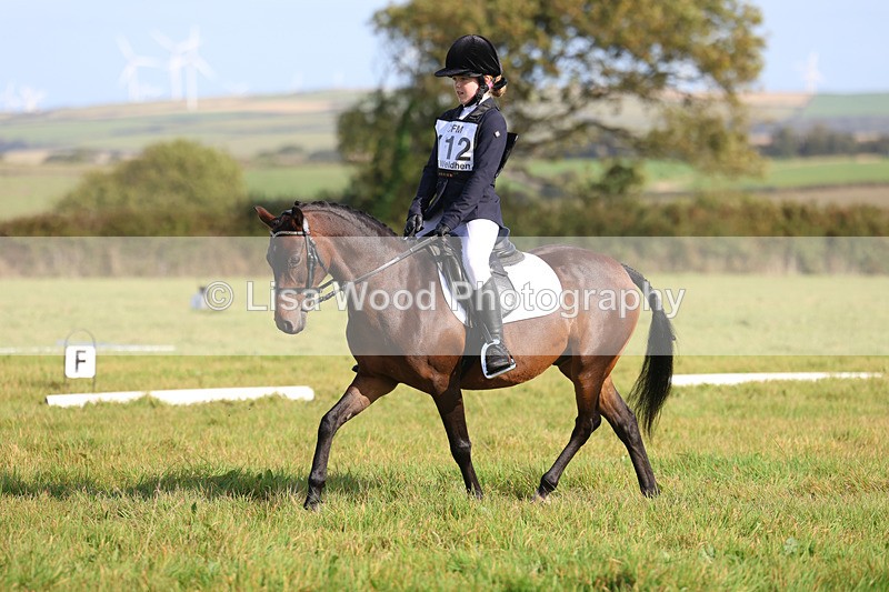 3E7A5927 - Class 1: Trebudannon Open: Dressage (Part 2)