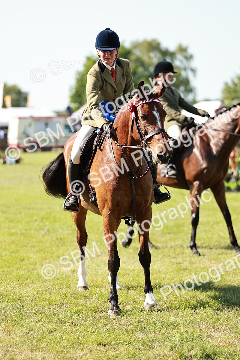 SBM_18947 - Class 114 - RIHS & SEIB Open Working Show Horse