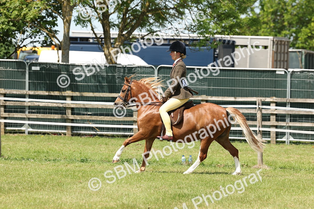 SBM_06766 - Class 26-30 - Mountain and Moorland Ridden